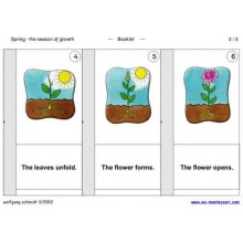 Spring - The Season of Growth (This article is also available in German)