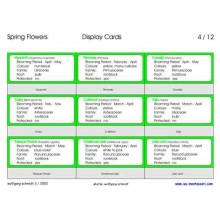 Spring Flowers (Dieser Artikel ist auch in deutsch erhältlich)