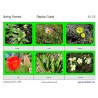 Spring Flowers (This article is also available in German)