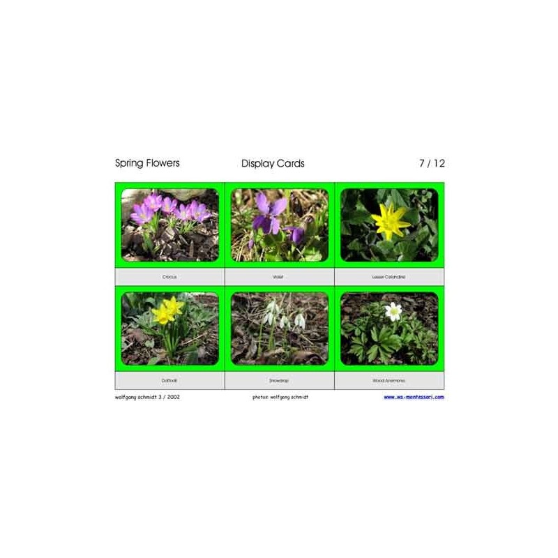 Spring Flowers (This article is also available in German)