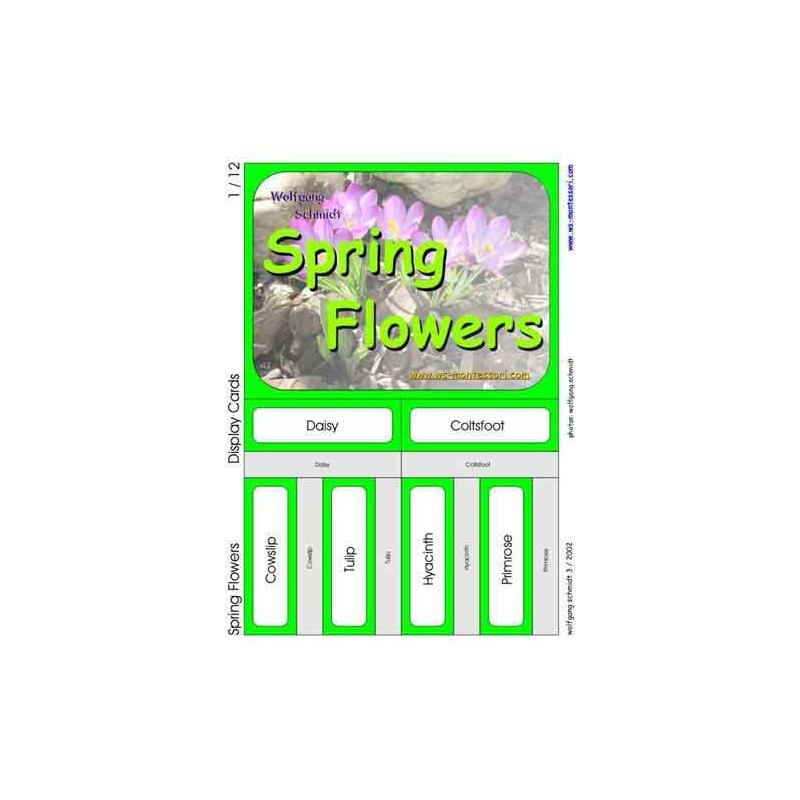 Spring Flowers (Dieser Artikel ist auch in deutsch erhältlich)