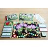 Spring Flowers (This article is also available in German)