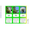 The Calendar (Dieser Artikel ist auch in deutsch erhältlich)