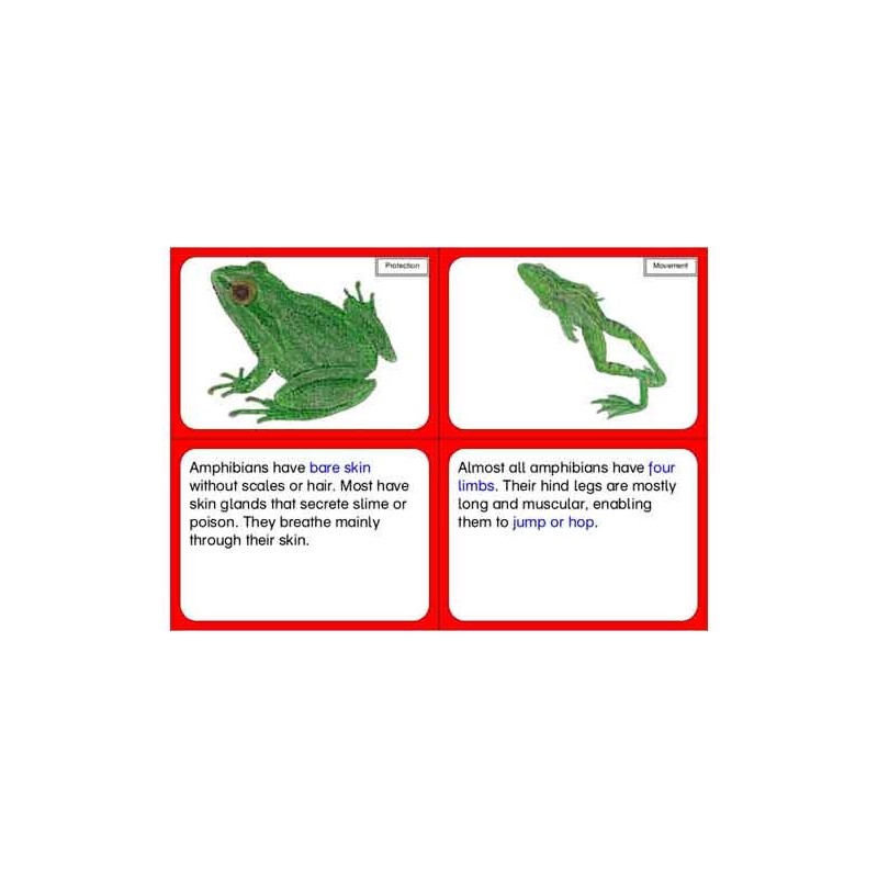 Vertebrates