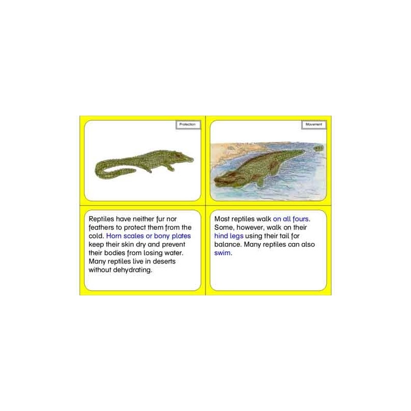 Vertebrates