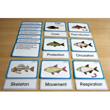 Vertebrates