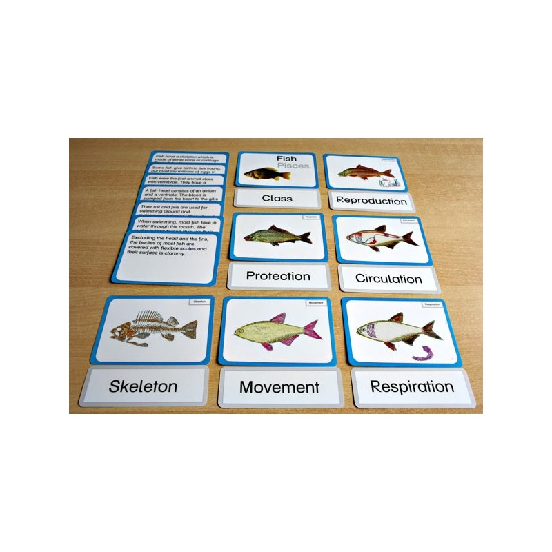 Vertebrates