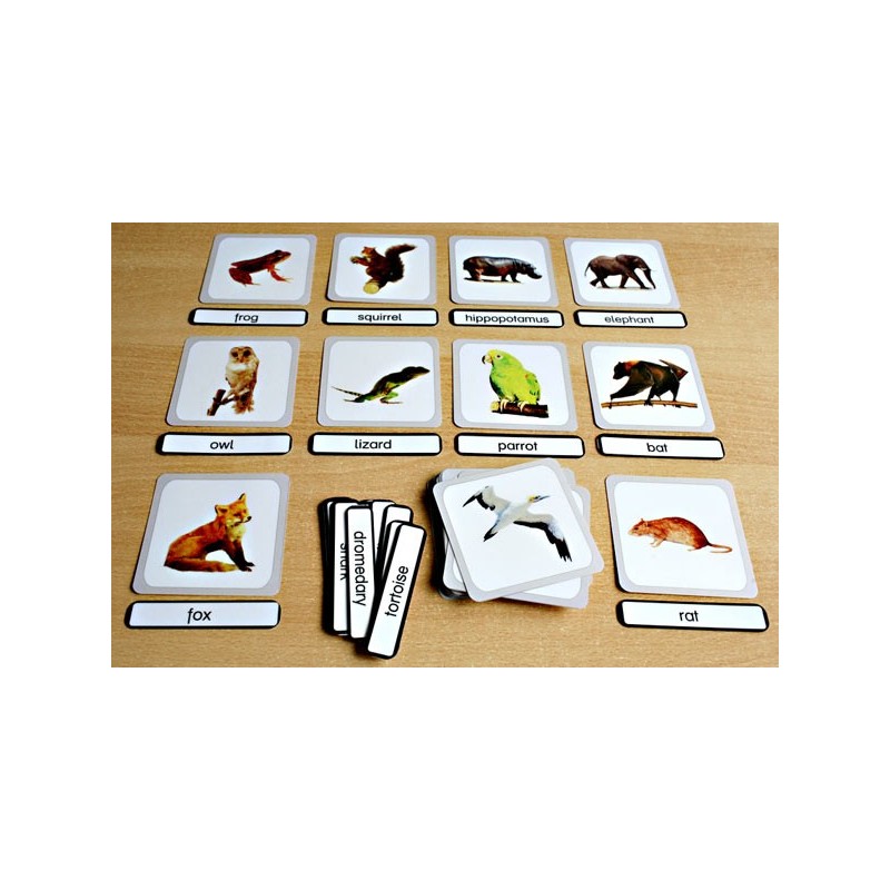 Vertebrates
