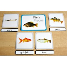 Vertebrates