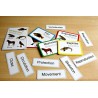 Vertebrates