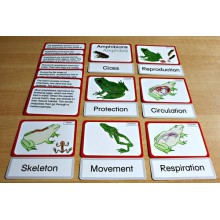 Vertebrates