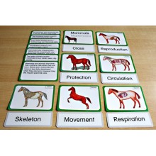 Vertebrates