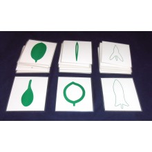 Leaf Cards