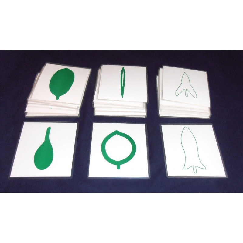 Leaf Cards