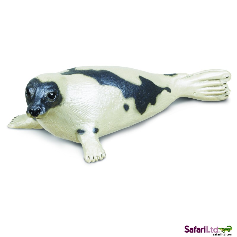 Sattelrobbe