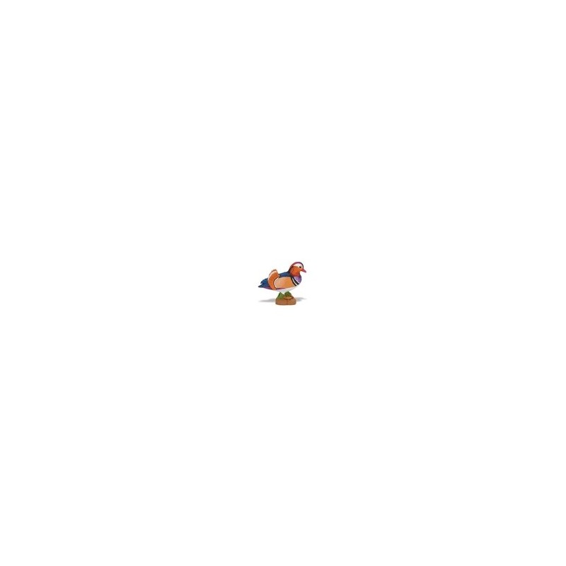 Mandarin duck