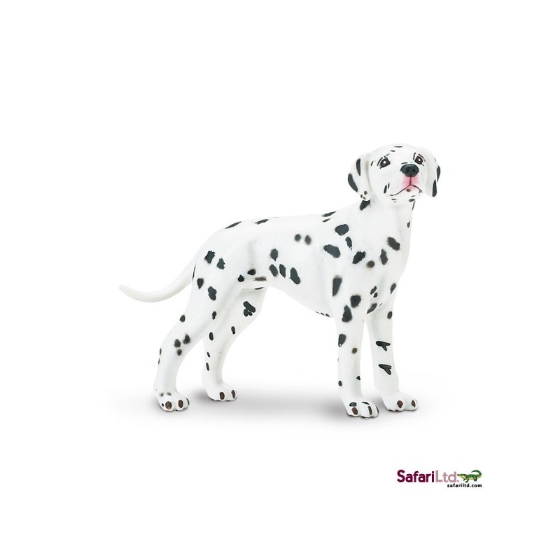 Dalmatian