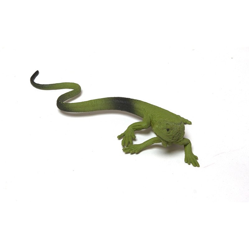 Set of baby animals