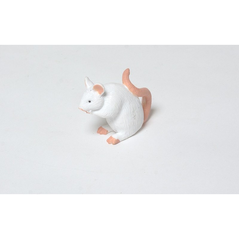 Set of baby animals