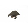 Set Tierbabies