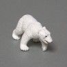 Set arctic