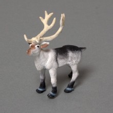 Set arctic