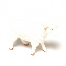 Farm animals