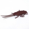 Insekten