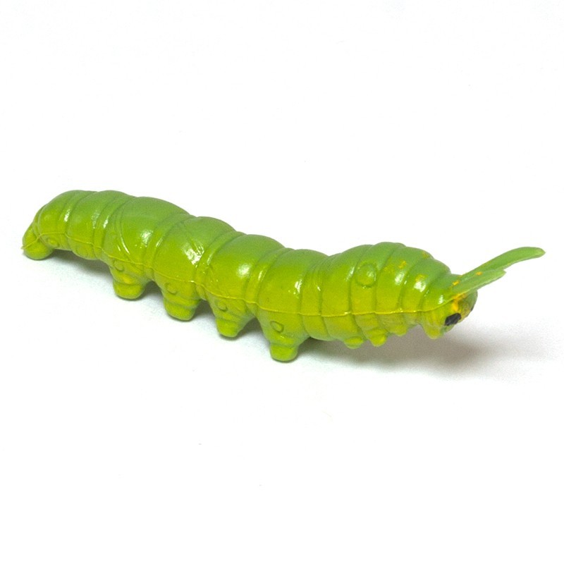 Insekten