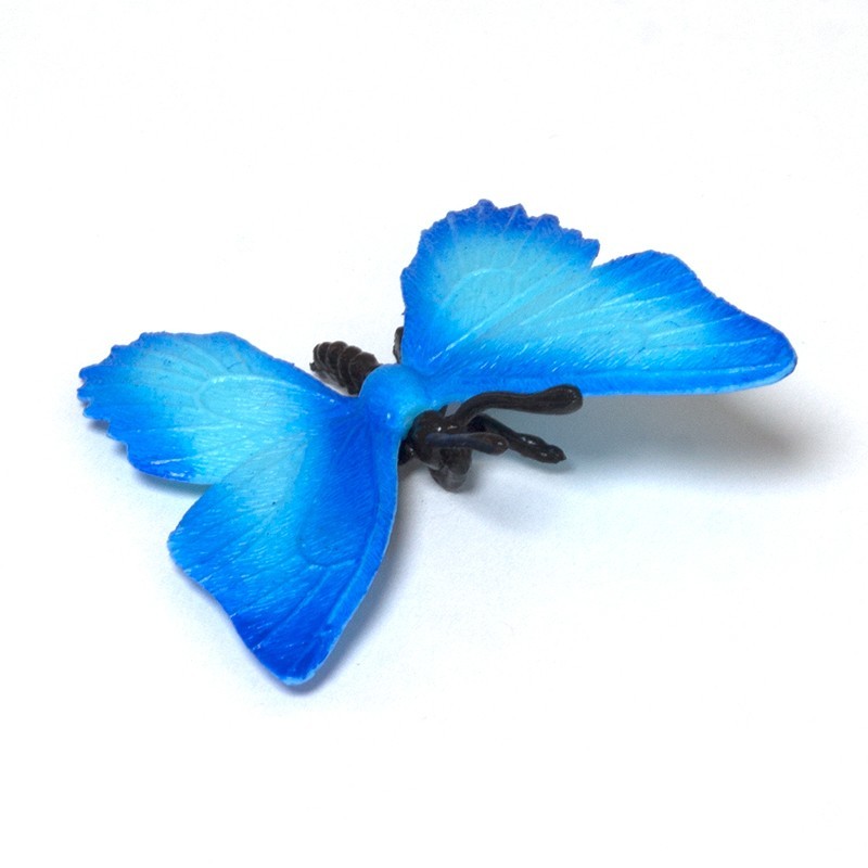 Insekten