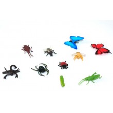 insects