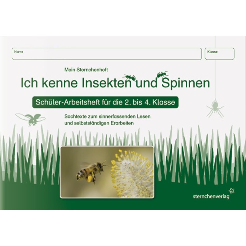 Ich kenne Insekten und Spinnen