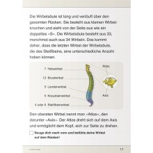 Ich kenne meinen Körper – Skelett, Muskeln und Wirbelsäule