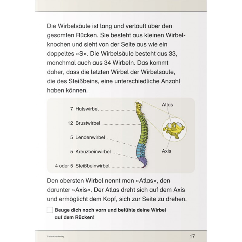 I know my body - skeleton, muscles and spine