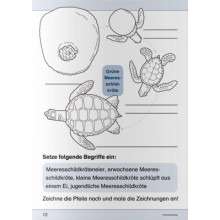 Ich kenne die Meeresschildkröte