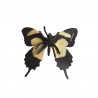 Schmetterlinge