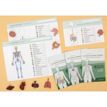 Organe Set