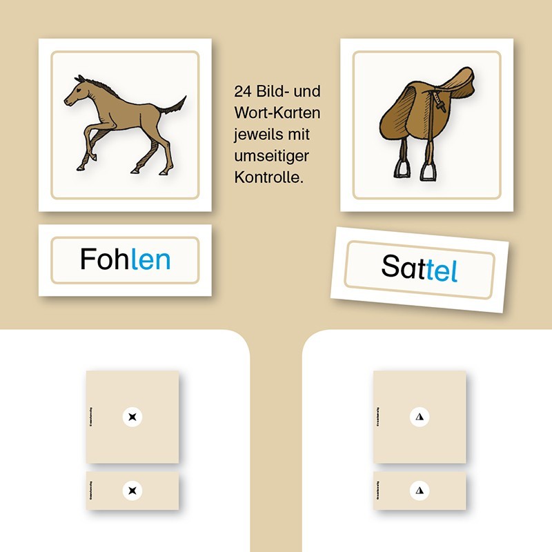 Meine Lesedose 6 - Pferde Wörter