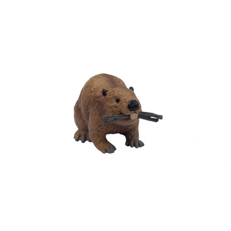z A do Z