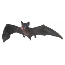 Sada údajov o veku Zeme