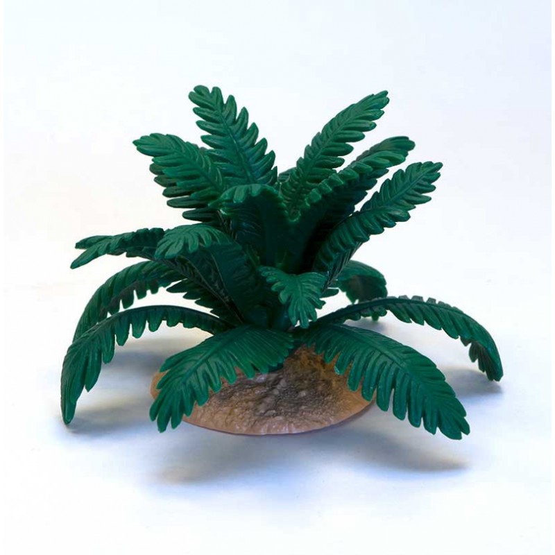 fern