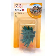 Agave
