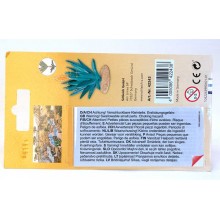 agave