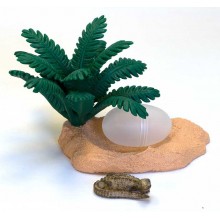 Crocodile nest