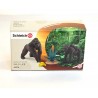 Gorilla family