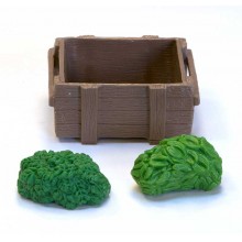 NEWSLETTER  SET