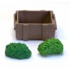 NEWSLETTER SET to the farm
