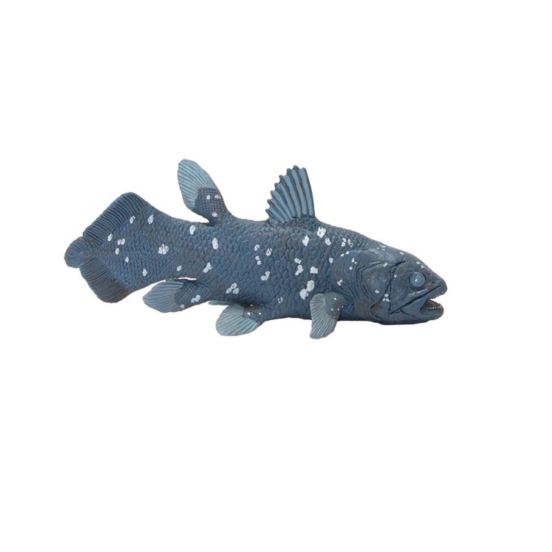 Údaje o veku Zeme nastavené PREMIUM