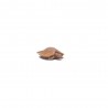 Earth Age Figure Set PREMIUM