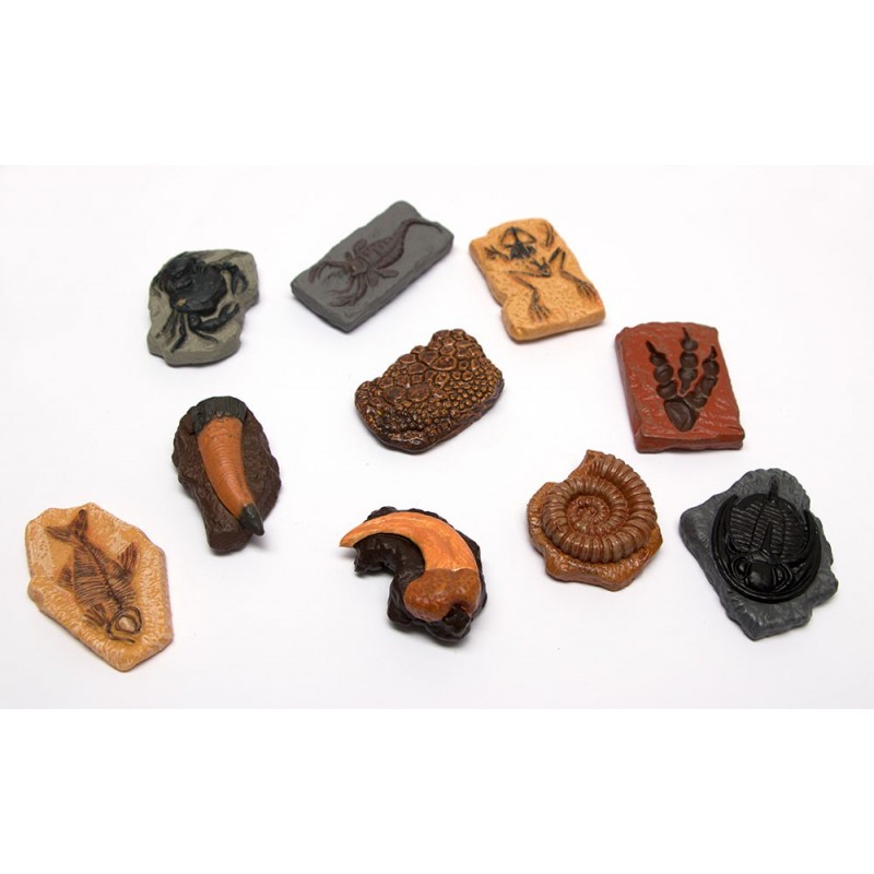 Erdzeitalter Figuren Set PREMIUM